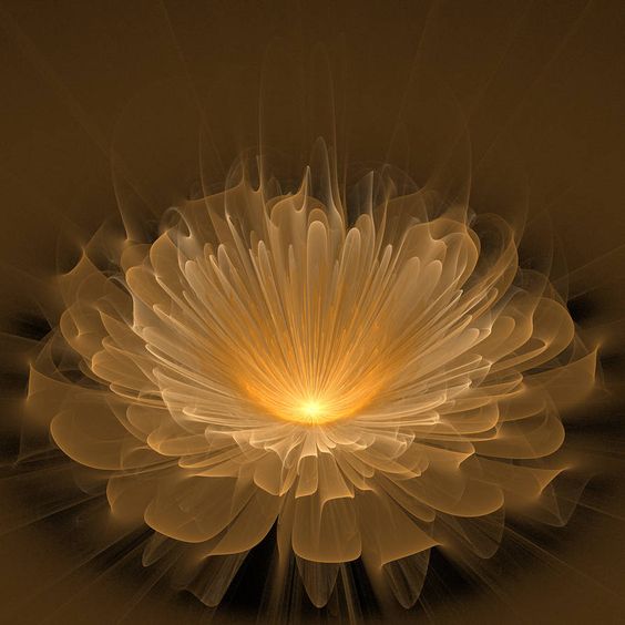 lotus9