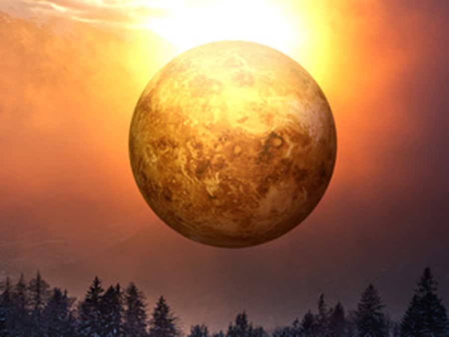 Planeten Venus svævende som en gylden, lysende sfære over en mørk skovhorisont